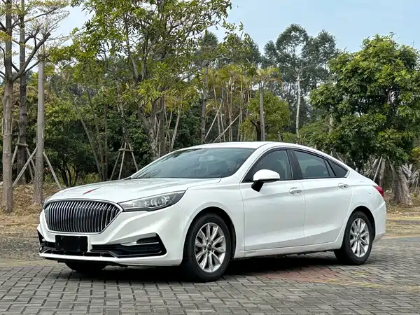 Hongqi H5 2020