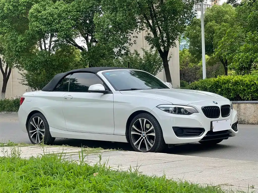 BMW 2 Series 2019 — фото 4
