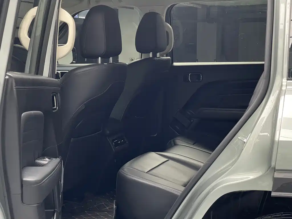 Haval Menglong New Energy 2024
