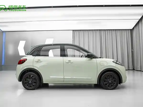 Wuling Bingo 2024