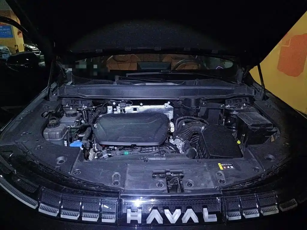 Haval Xiaolong MAX 2025 — фото 21