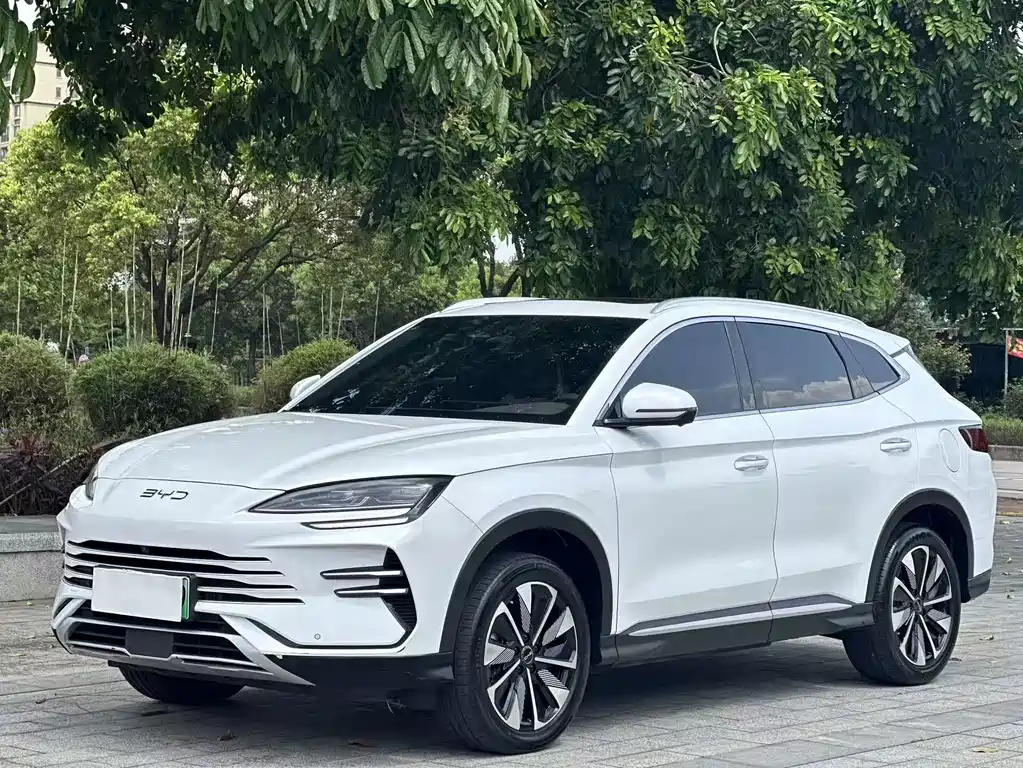 BYD PLUS New Energy 2024 — фото 1