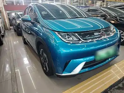 BYD Dolphin 2021