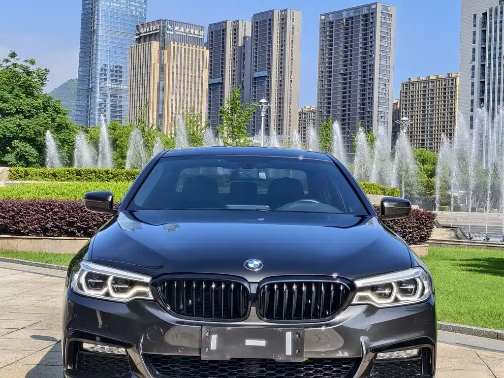BMW 5 Series 2018 — фото 2