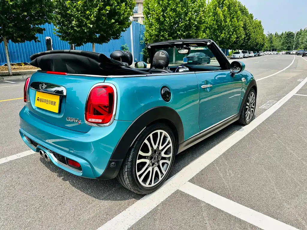 MINI MINI 2018 — фото 5