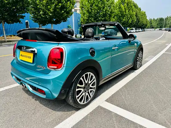 MINI MINI 2018