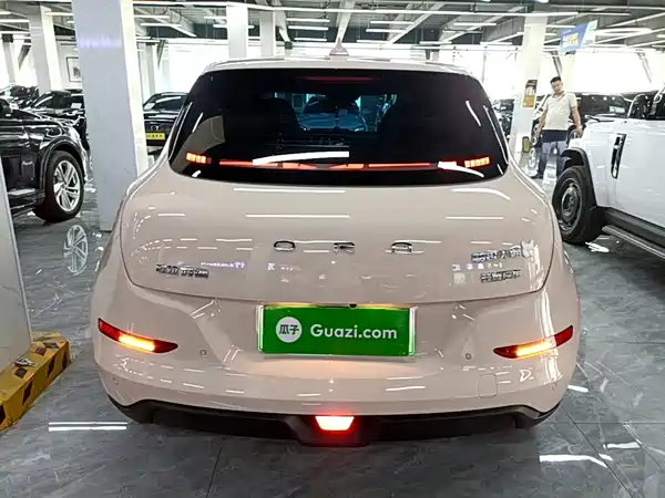Ora Good Cat 2025