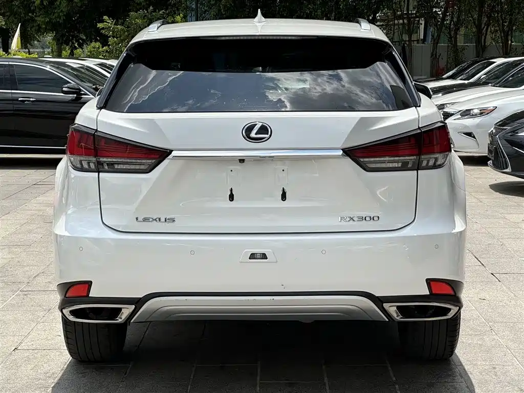 Lexus RX 2021 — фото 4