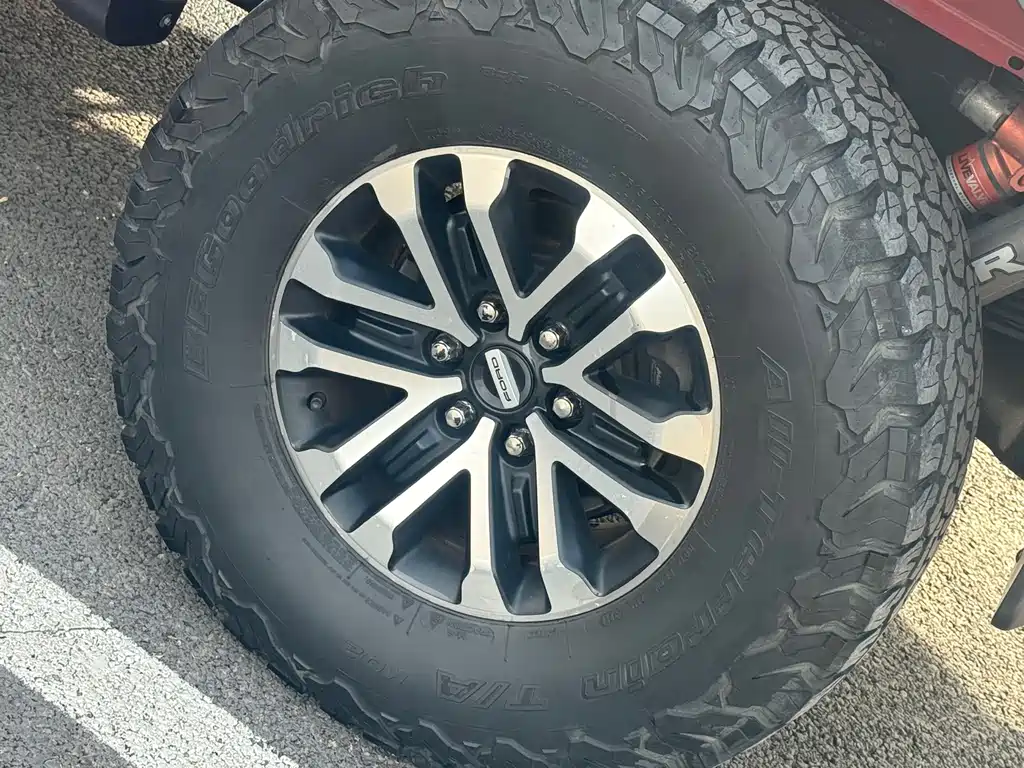 Ford F-150 Raptor 2021 — фото 19