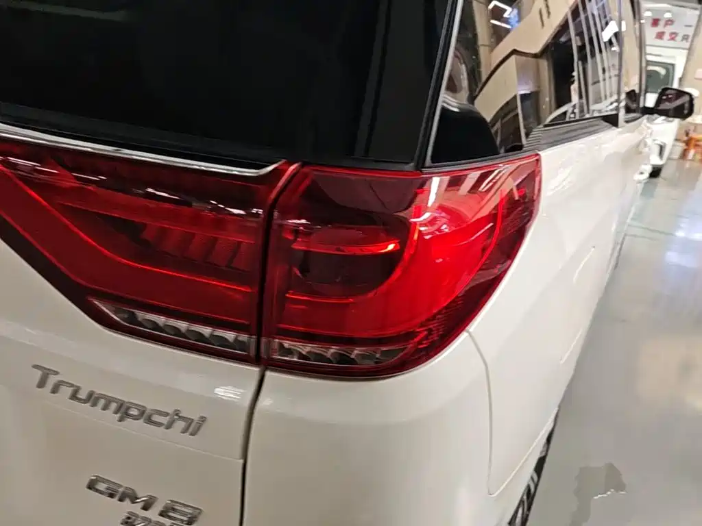 GAC Trumpchi M8 2019 — фото 8