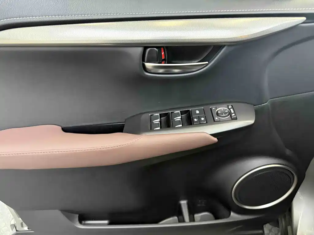 Lexus NX 2020 — фото 11