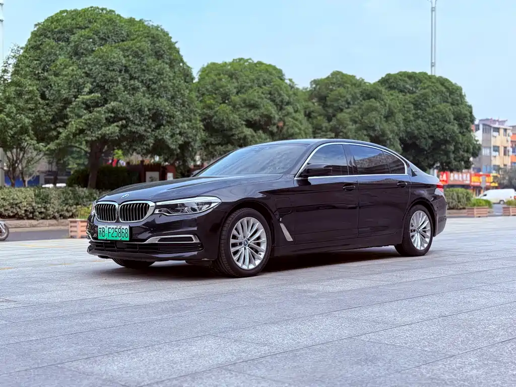 BMW 5 Series New Energy 2019