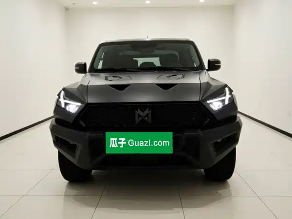 Mengshi 917 2025