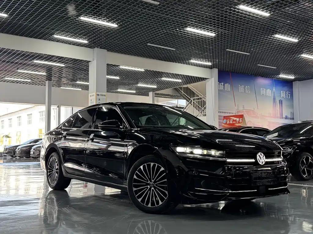 Volkswagen Magotan 2024