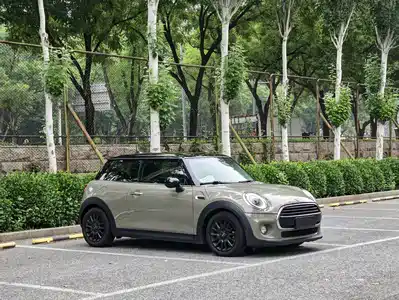 MINI MINI 2019