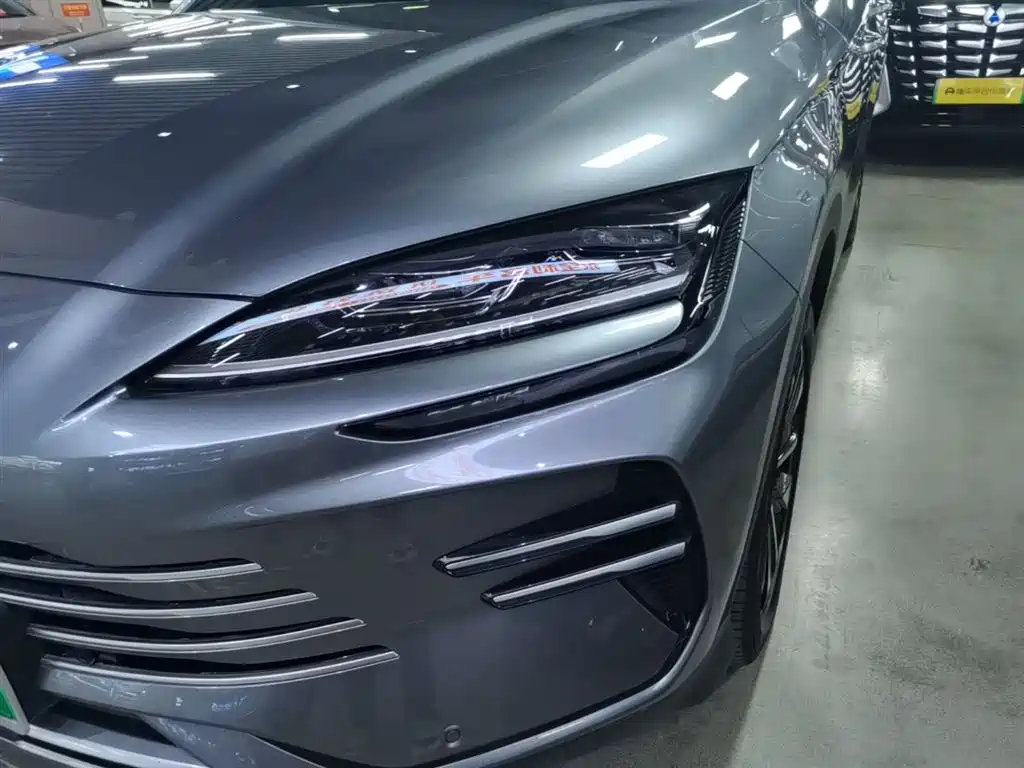 BYD Song PLUS New Energy 2025 — фото 24