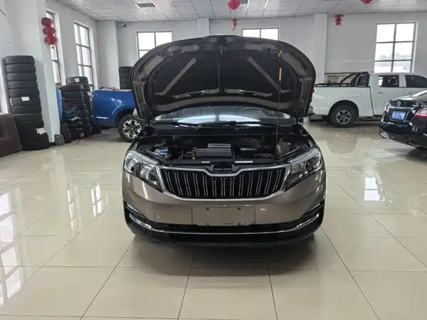 Skoda Kamiq 2022