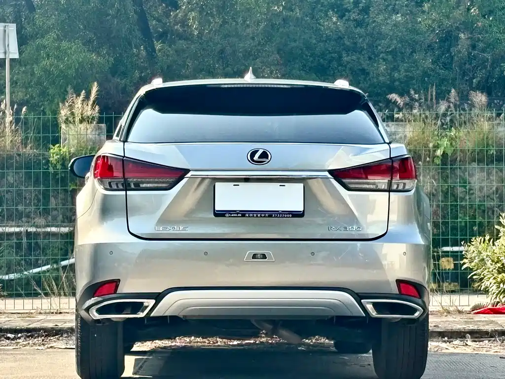 Lexus RX 2022 — фото 16