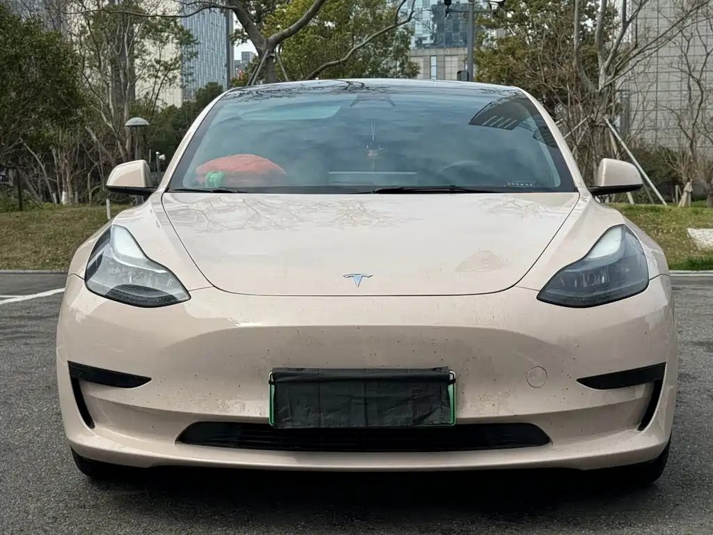 Tesla Model 3 2022 — фото 2