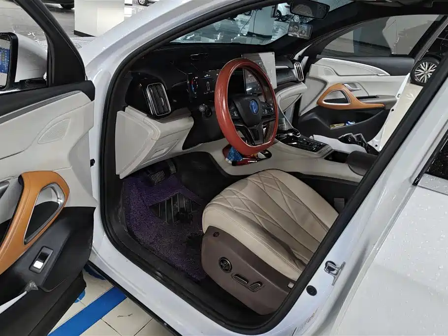 BYD Pro New Energy 2022 — фото 9