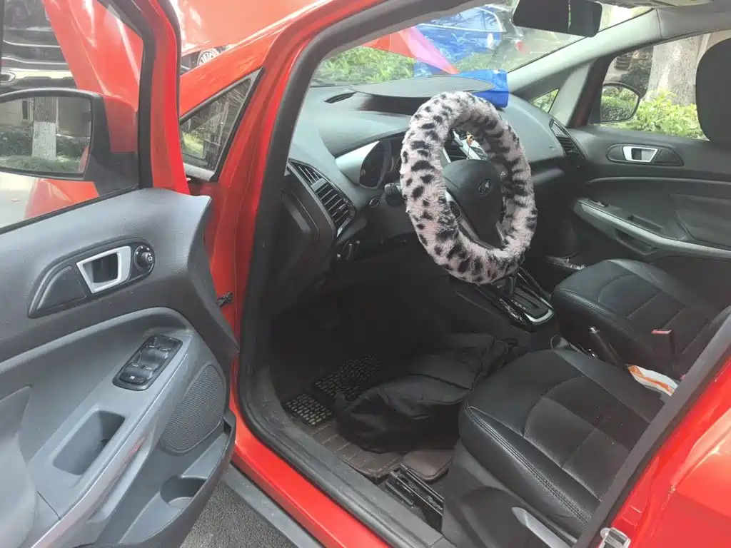 Ford EcoSport 2015 — фото 17