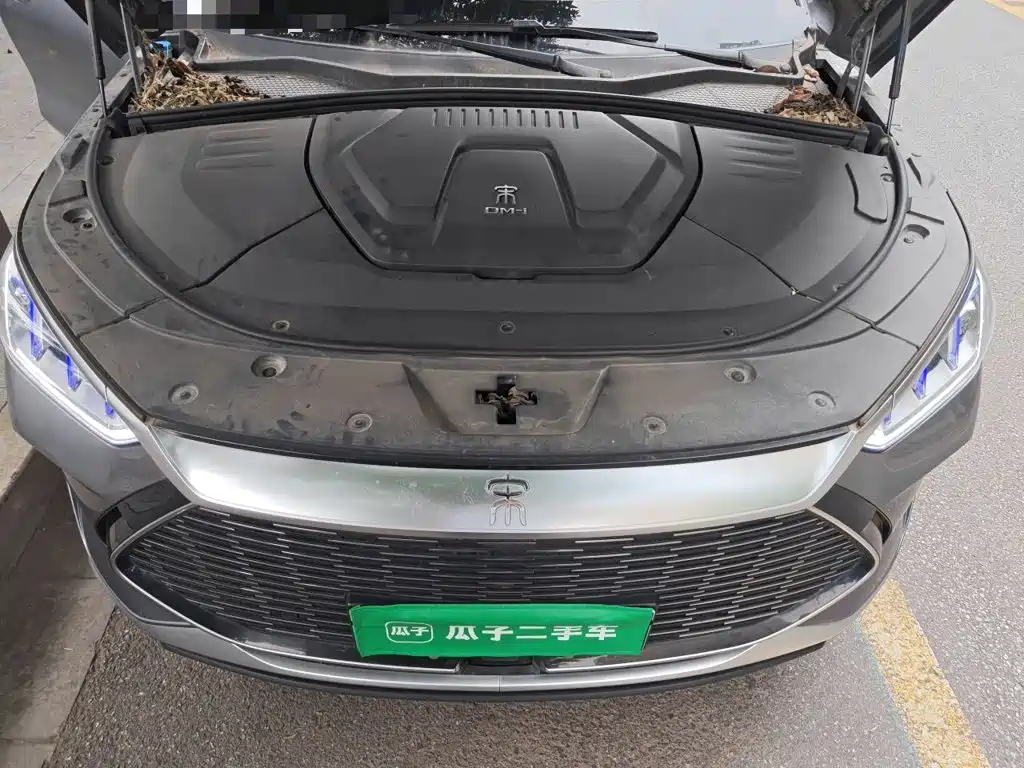 BYD Song PLUS New Energy 2021 — фото 21