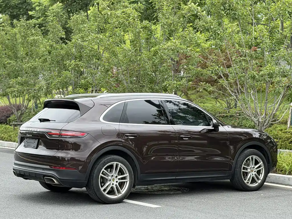 Porsche Cayenne 2019 — фото 11