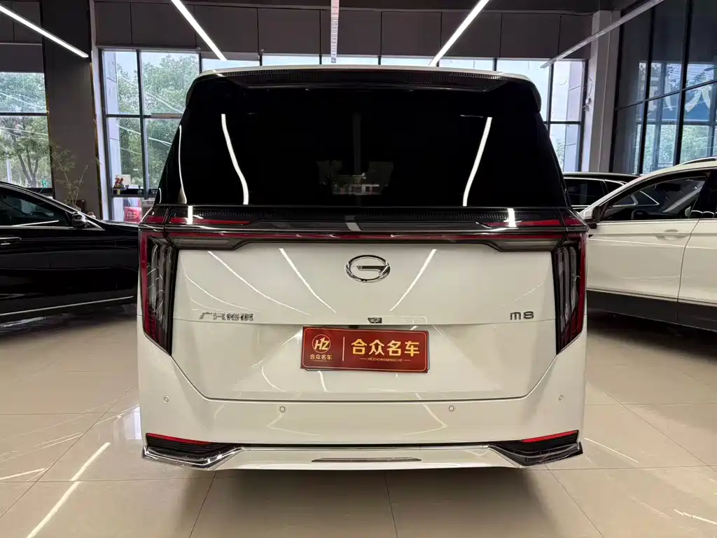 GAC Trumpchi M8 2024 — фото 8