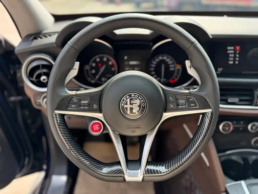 Alfa Romeo Stelvio 2019 — фото 11