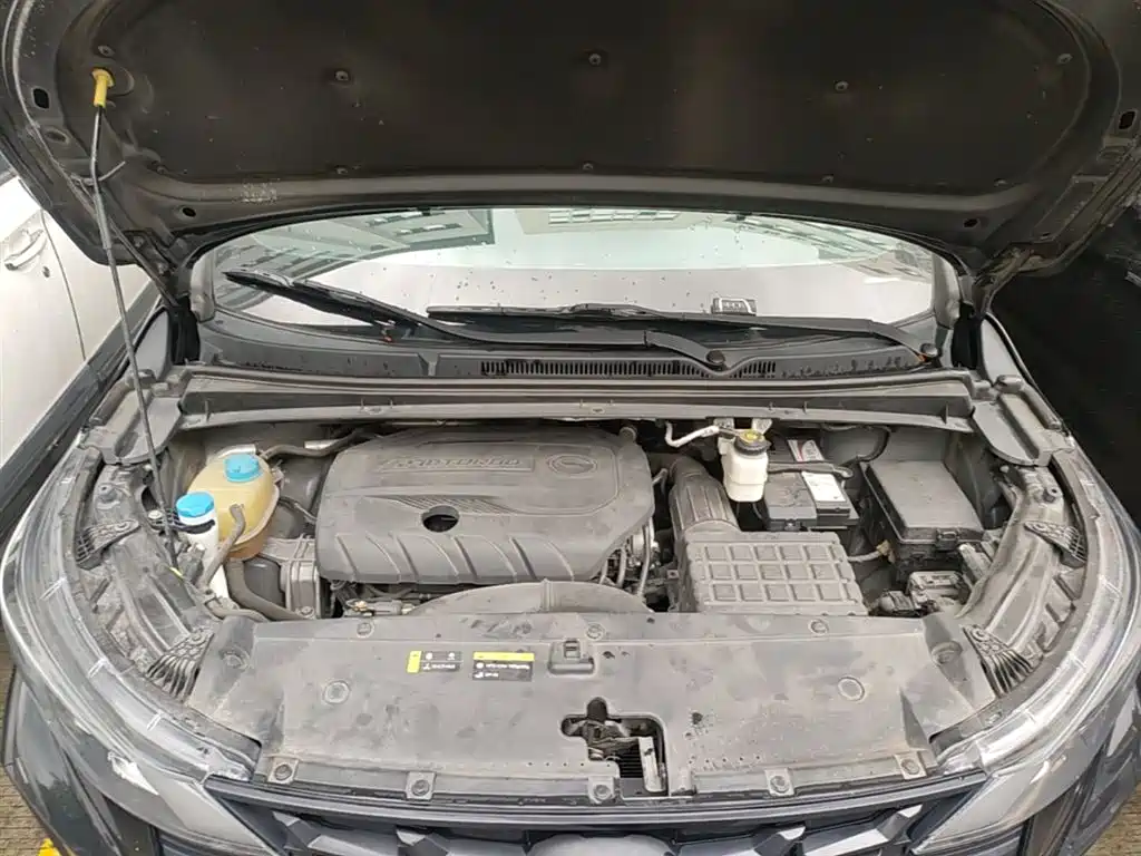 GAC Motor Trumpchi M6 2021 — фото 17