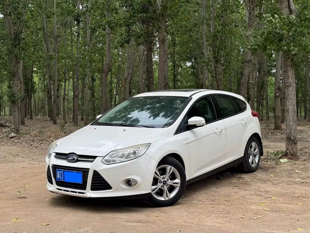 Ford Focus 2013 — фото 1