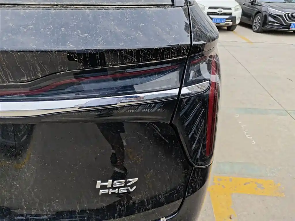 Hongqi HS7 PHEV 2024 — фото 8