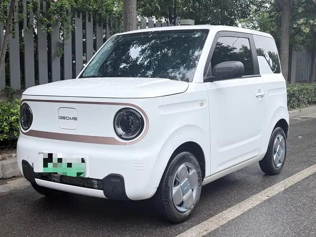 Galaxy Panda 2024
