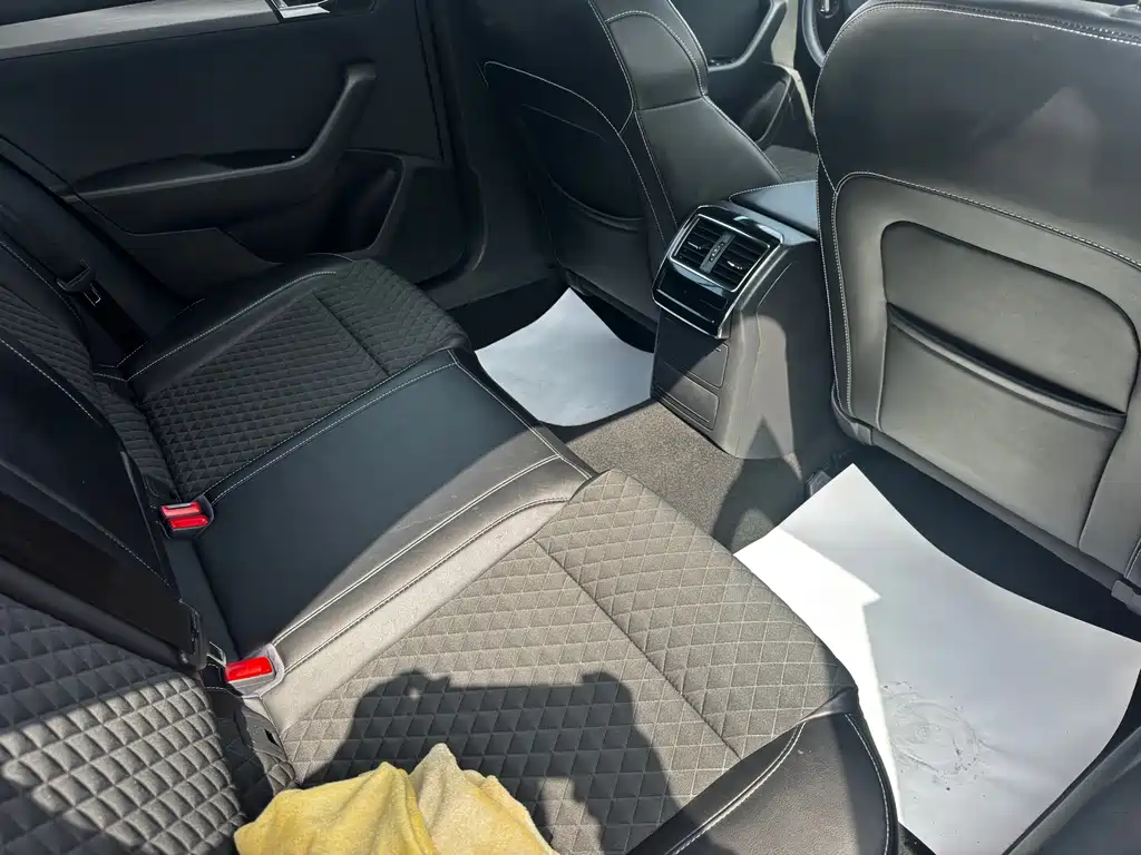 Skoda Speedy 2017