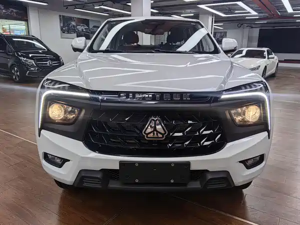 SINOTRUK Win 2025