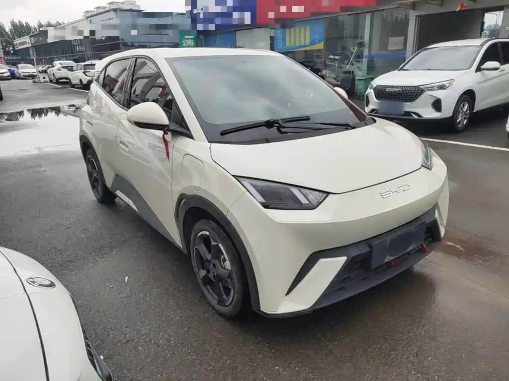 BYD Seagull 2024