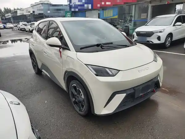 BYD Seagull 2024