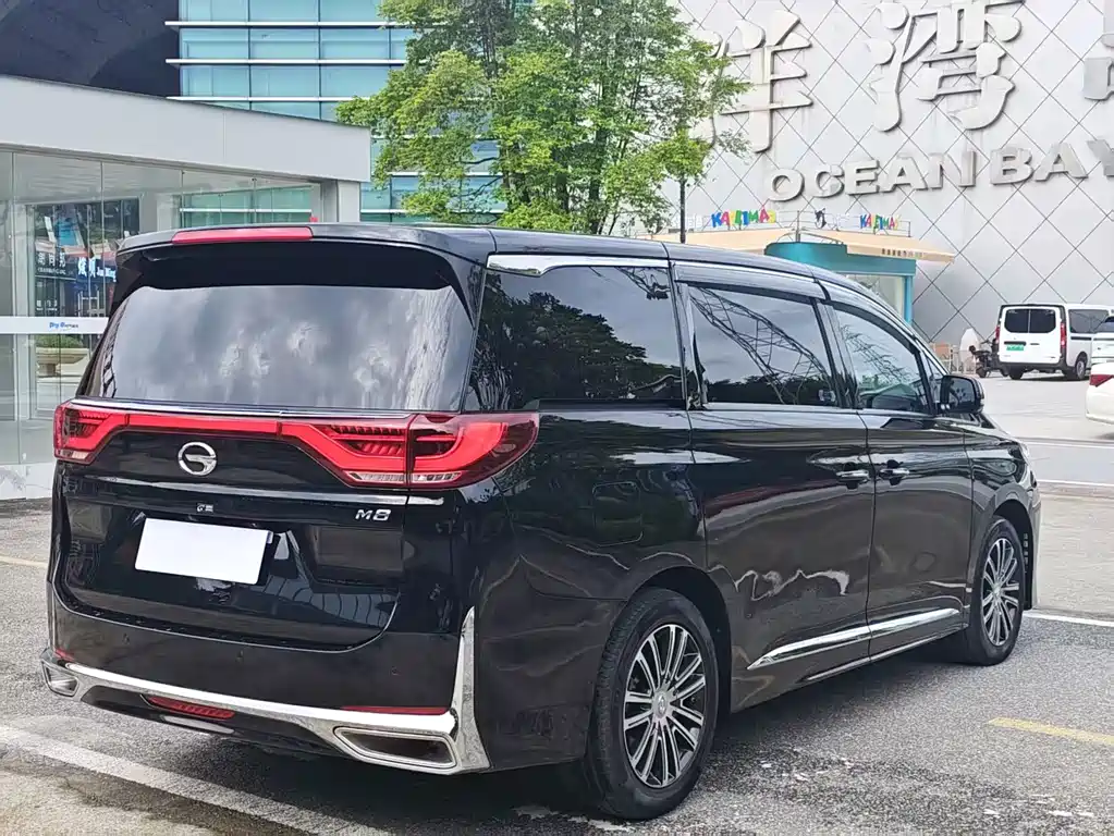 GAC Trumpchi M8 2022 — фото 6