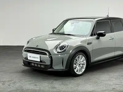 MINI MINI 2021