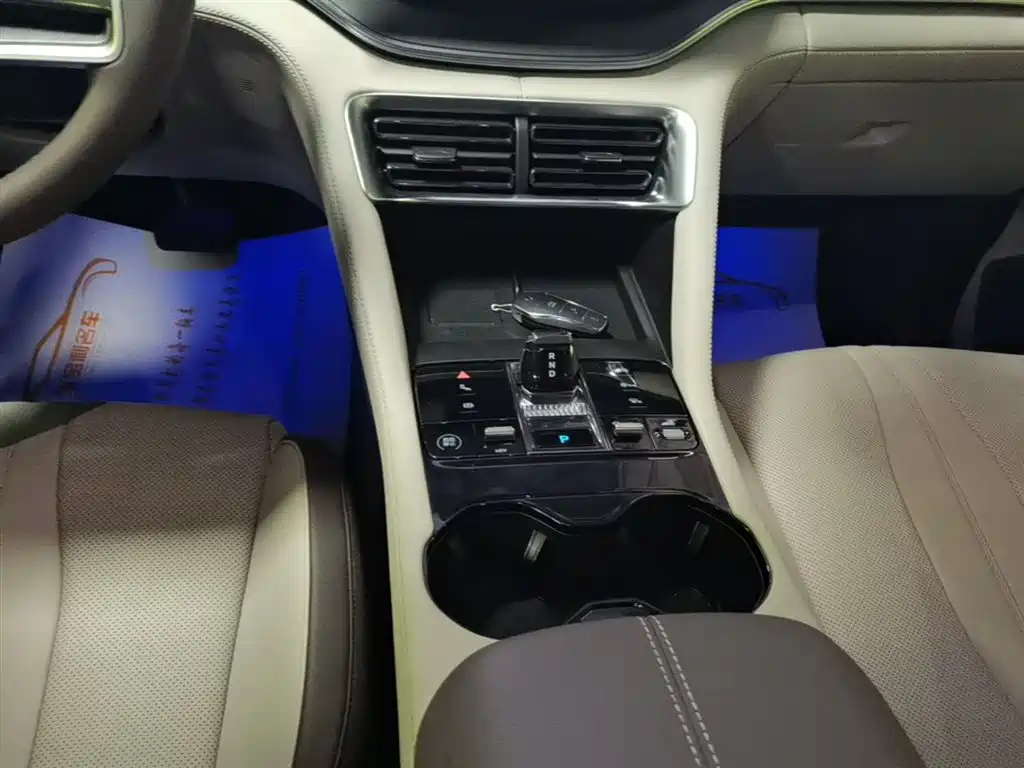 BYD Song PLUS New Energy 2025 — фото 14