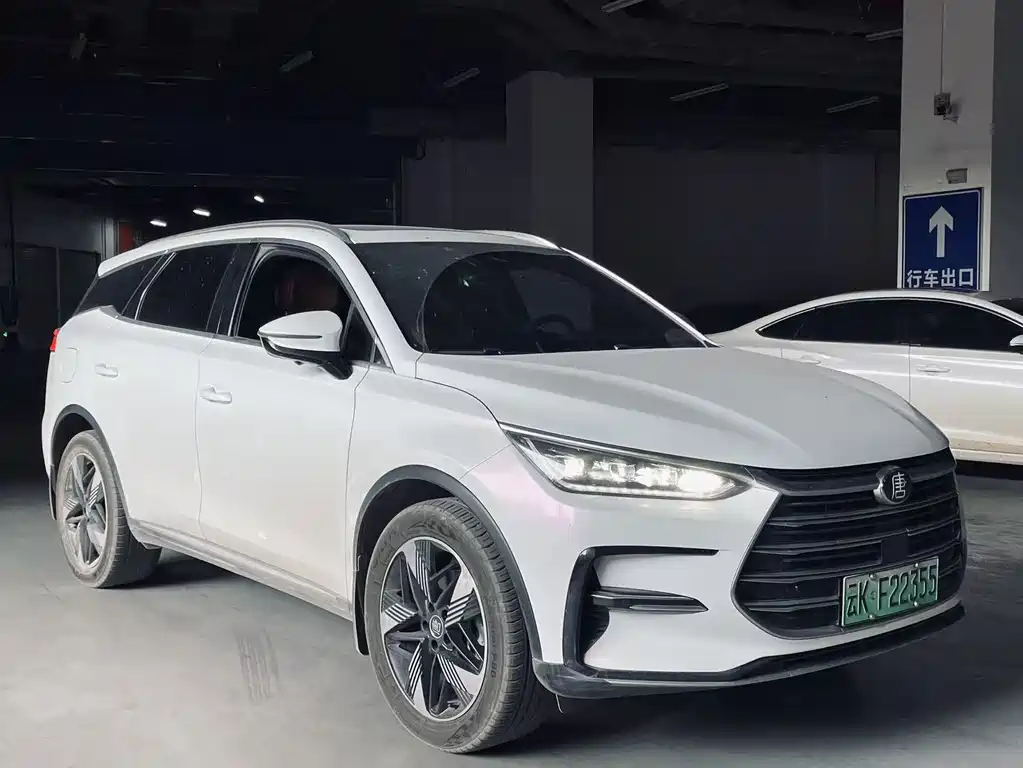 BYD Tang New Energy 2023 — фото 3