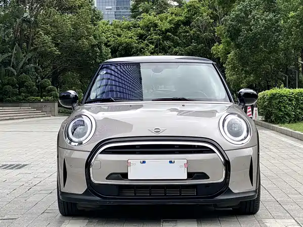 MINI MINI 2024