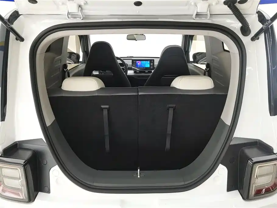 Galaxy Panda 2024