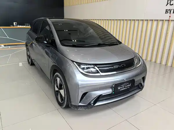 BYD Dolphin 2023
