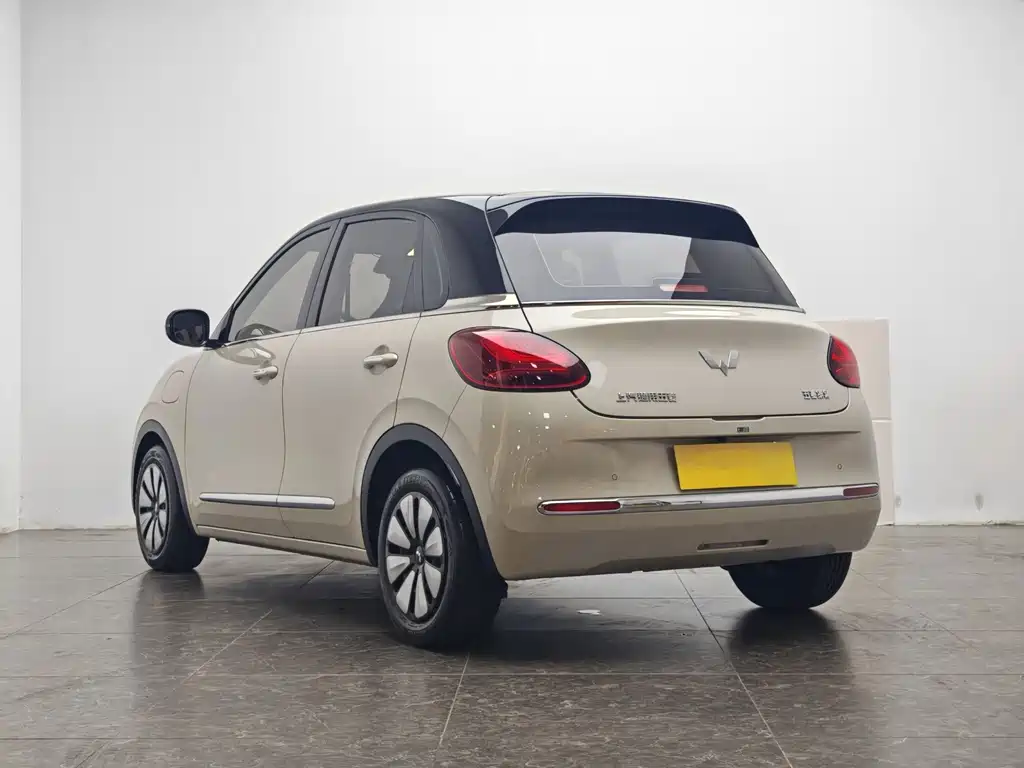 Wuling Bingo 2024