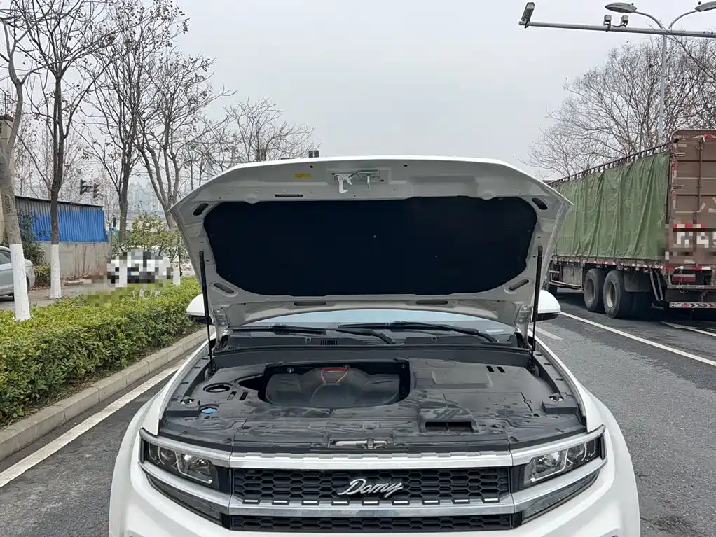Zotye Damai X7 2017 — фото 18