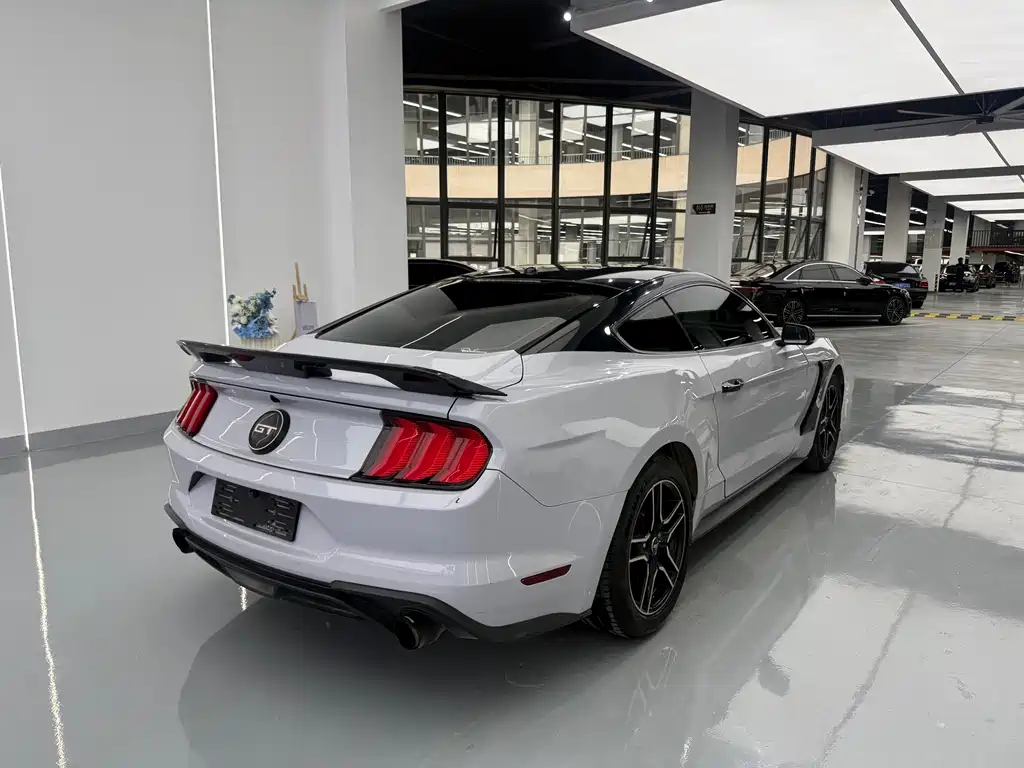 Ford Mustang 2019 — фото 13