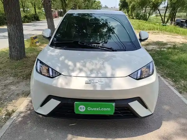 BYD Seagull 2025