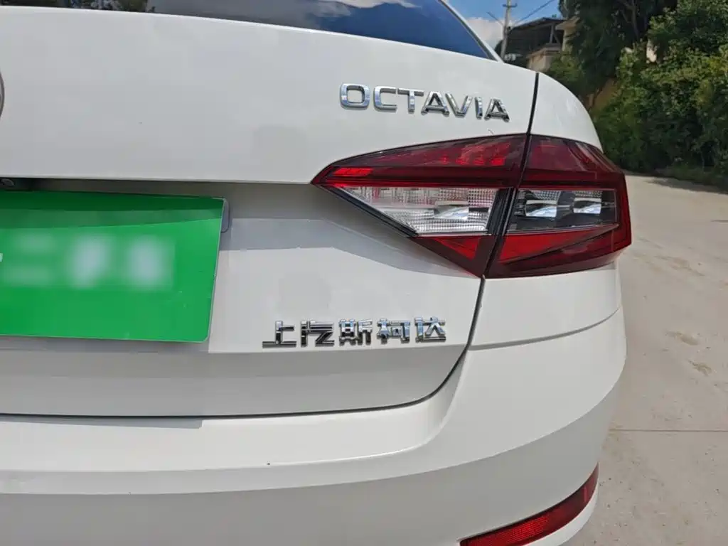 Skoda Octavia 2019 — фото 8