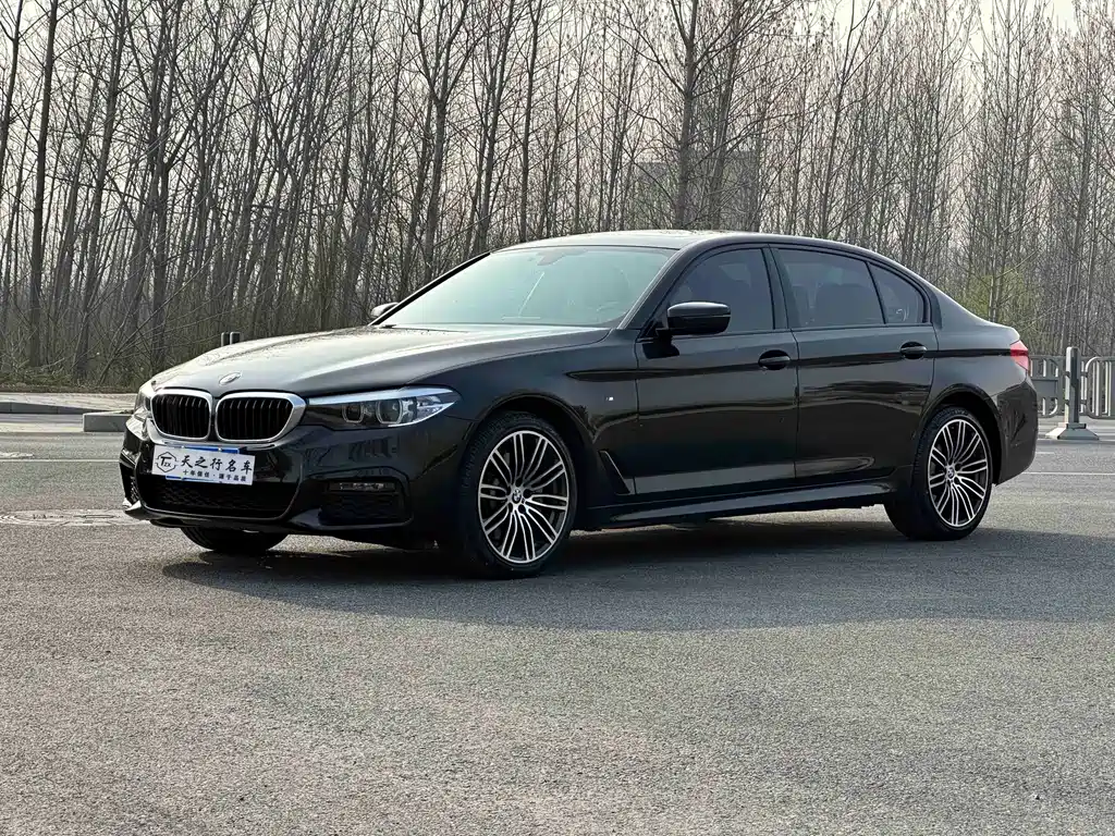 BMW 5 Series 2019 — фото 1
